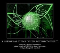 /album/fotogalerie/funny-dna-poster-data-jpg/
